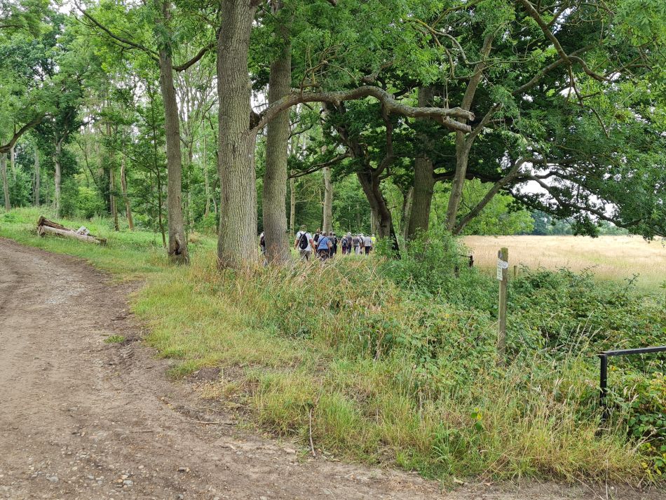 2022-07-13 07 Ringsfield and Redisham.jpg