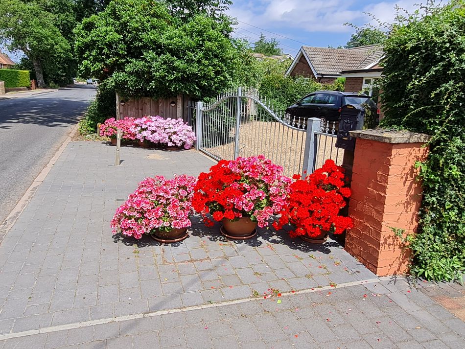 2022-07-13 20 Ringsfield and Redisham.jpg