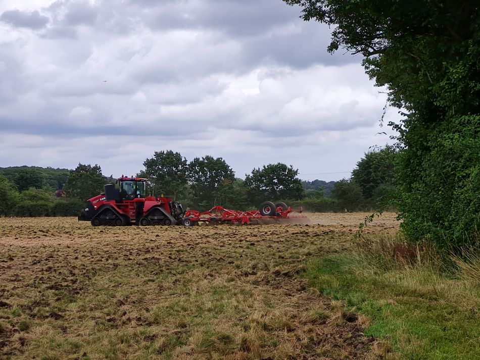 2023-07-19 05 Ringsfield and Redisham.jpg