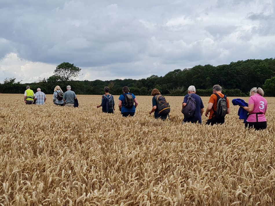 2023-07-19 06 Ringsfield and Redisham.jpg