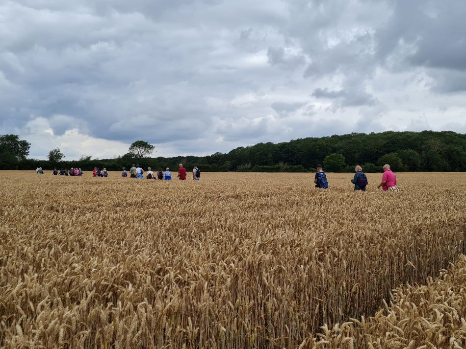 2023-07-19 07 Ringsfield and Redisham.jpg