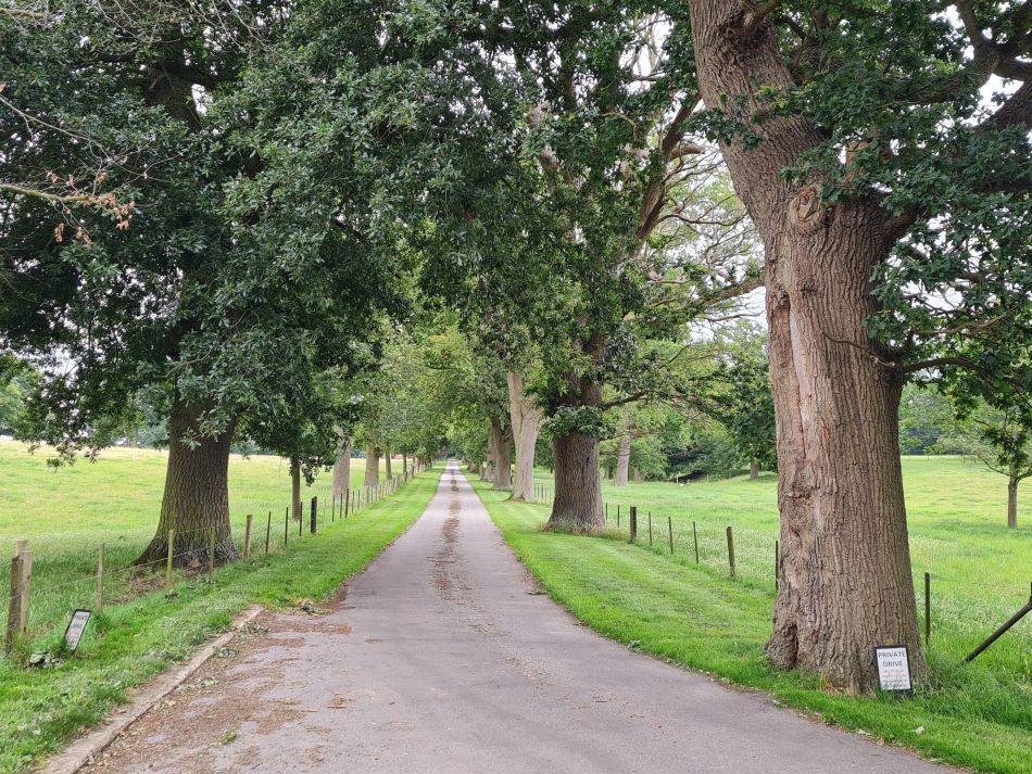 2023-07-19 08 Ringsfield and Redisham.jpg