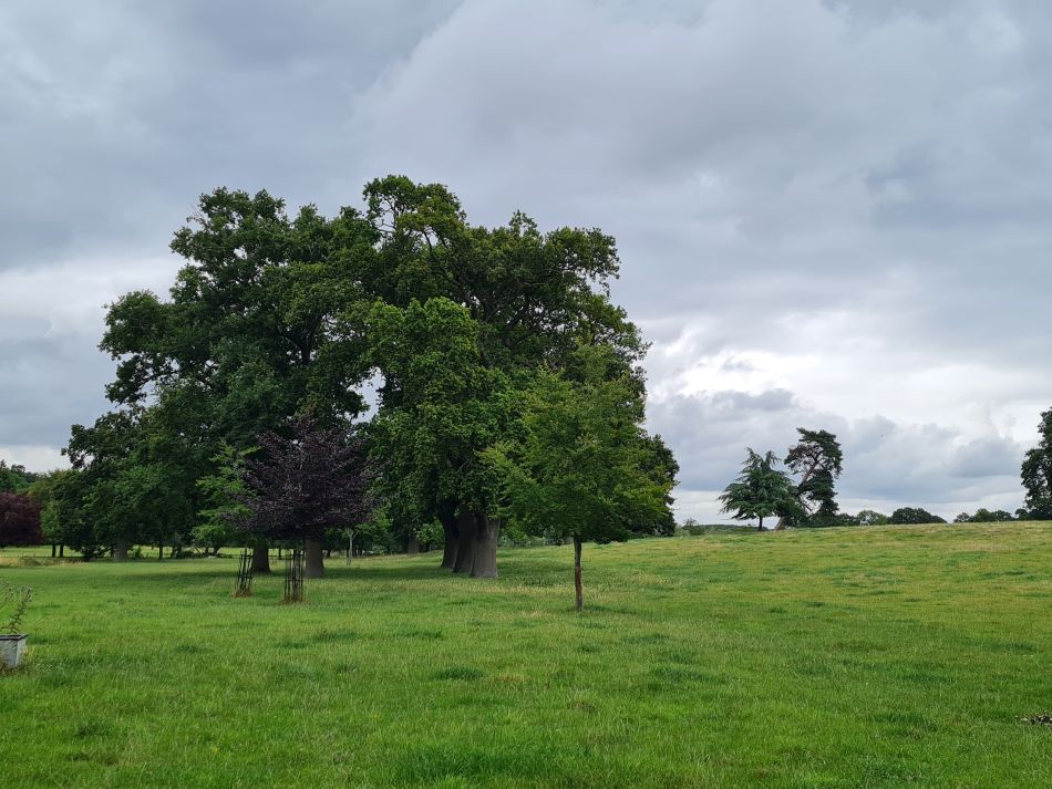 2023-07-19 10 Ringsfield and Redisham.jpg