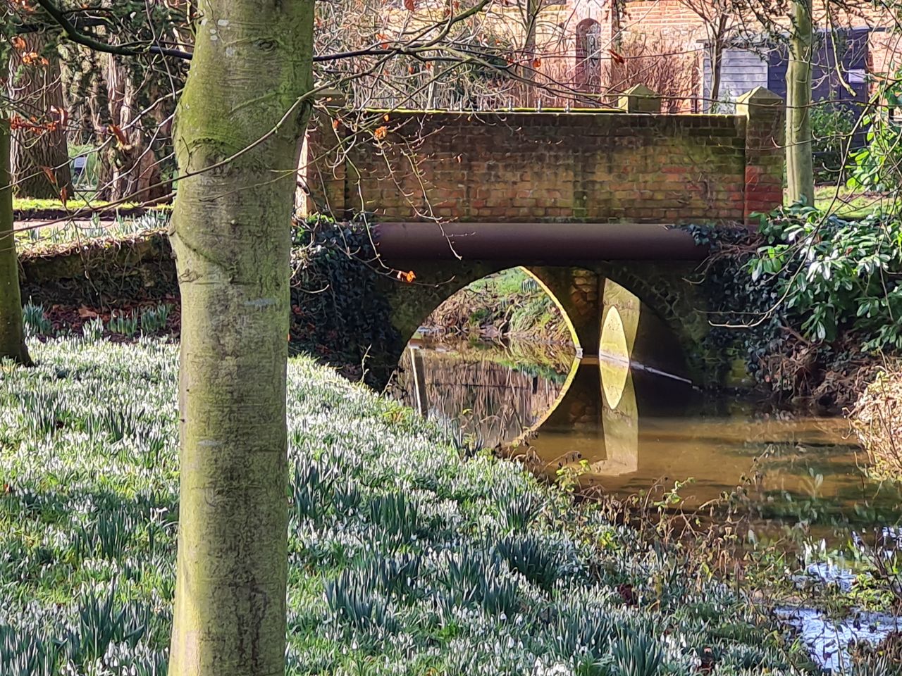 2025-02-06 02 Ringsfield and Redisham.jpg