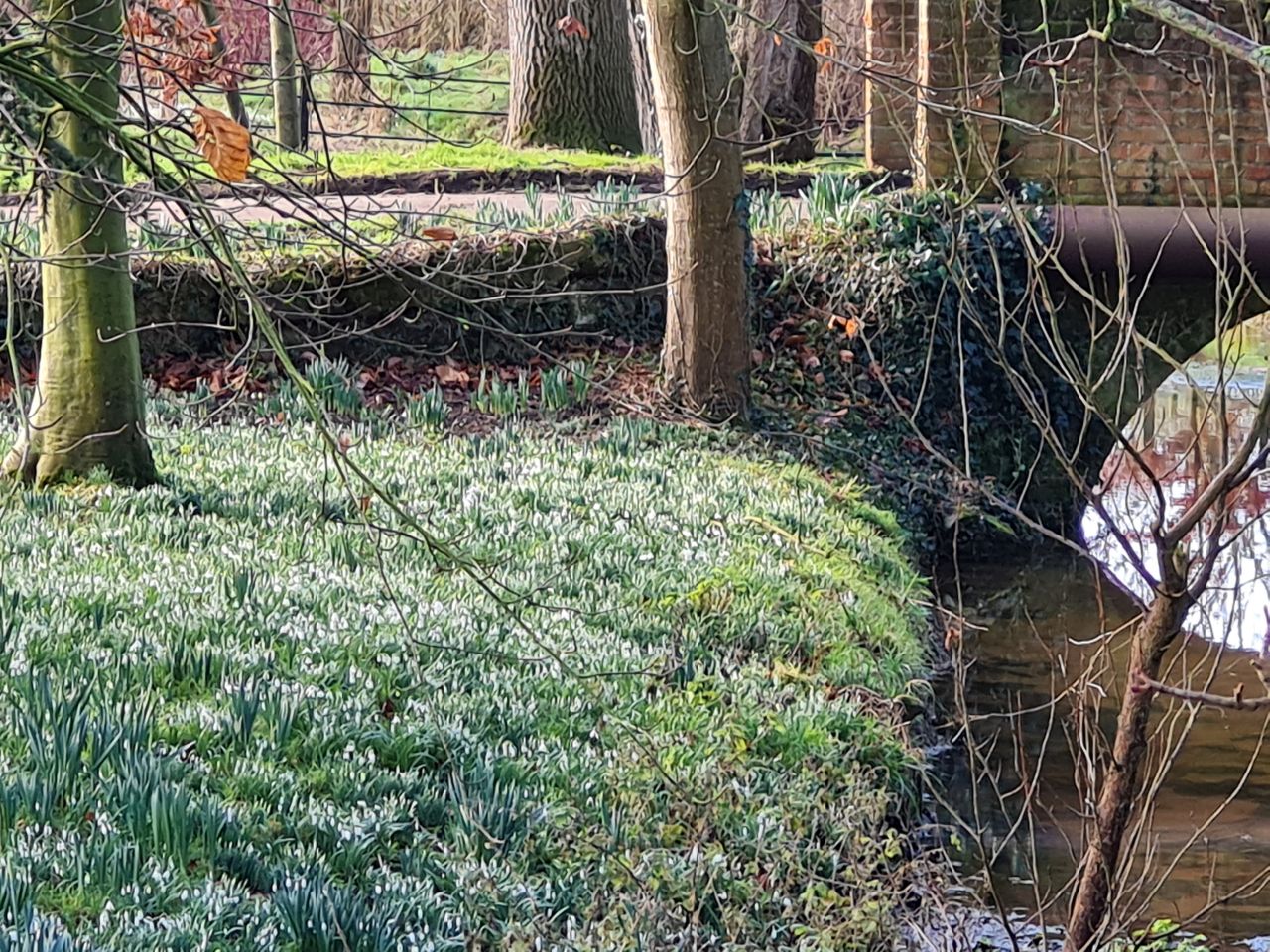 2025-02-06 04 Ringsfield and Redisham.jpg