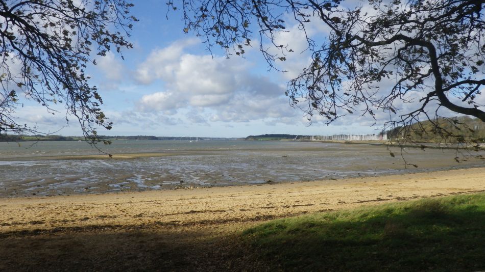 2020-09-11 03 Trimley Marshes and Felixstowe Port.jpg
