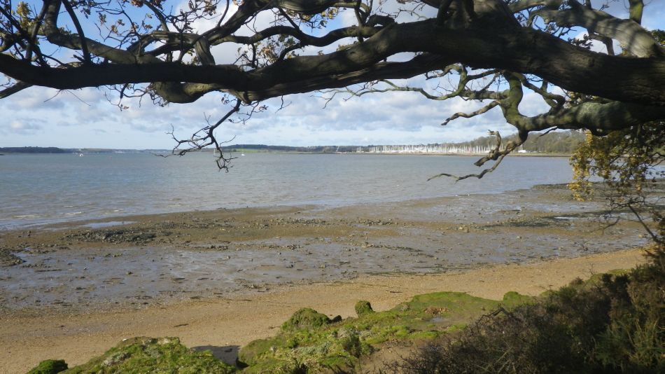 2020-09-11 04 Trimley Marshes and Felixstowe Port.jpg
