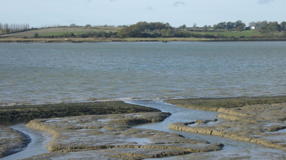 2020-09-11 05 Trimley Marshes and Felixstowe Port.jpg