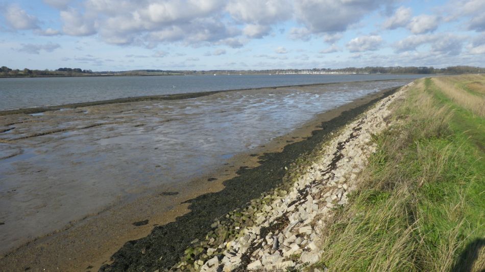 2020-09-11 06 Trimley Marshes and Felixstowe Port.jpg