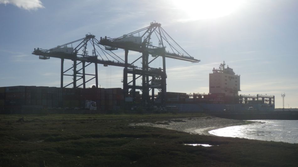2020-09-11 07 Trimley Marshes and Felixstowe Port.jpg