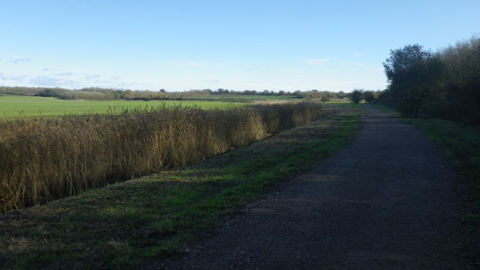 2020-09-11 12 Trimley Marshes and Felixstowe Port.jpg