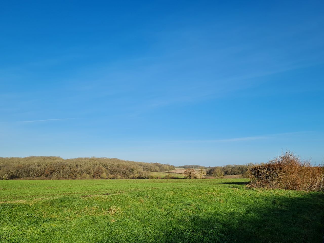 2024-12-06 04 Stowupland.jpg