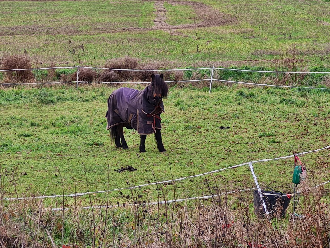 2024-12-06 07 Stowupland.jpg