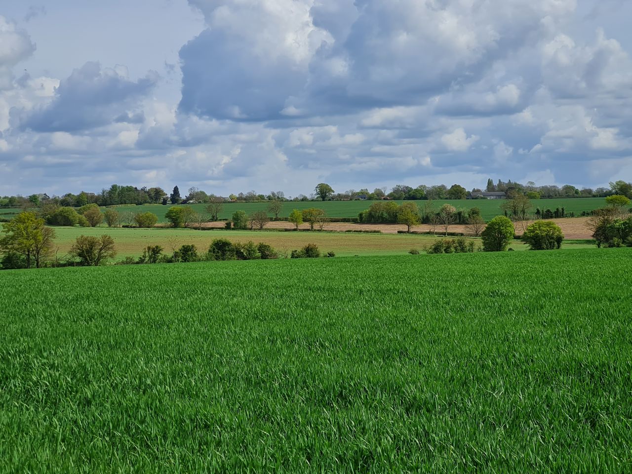 2025-04-22 02 Stowmarket.jpg