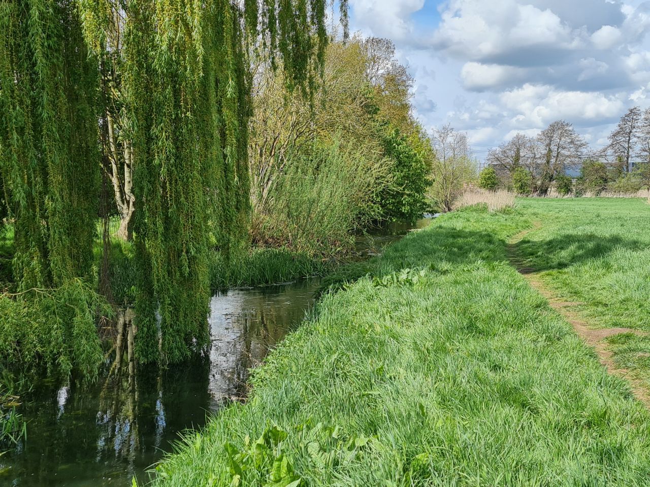 2025-04-22 13 Stowmarket.jpg