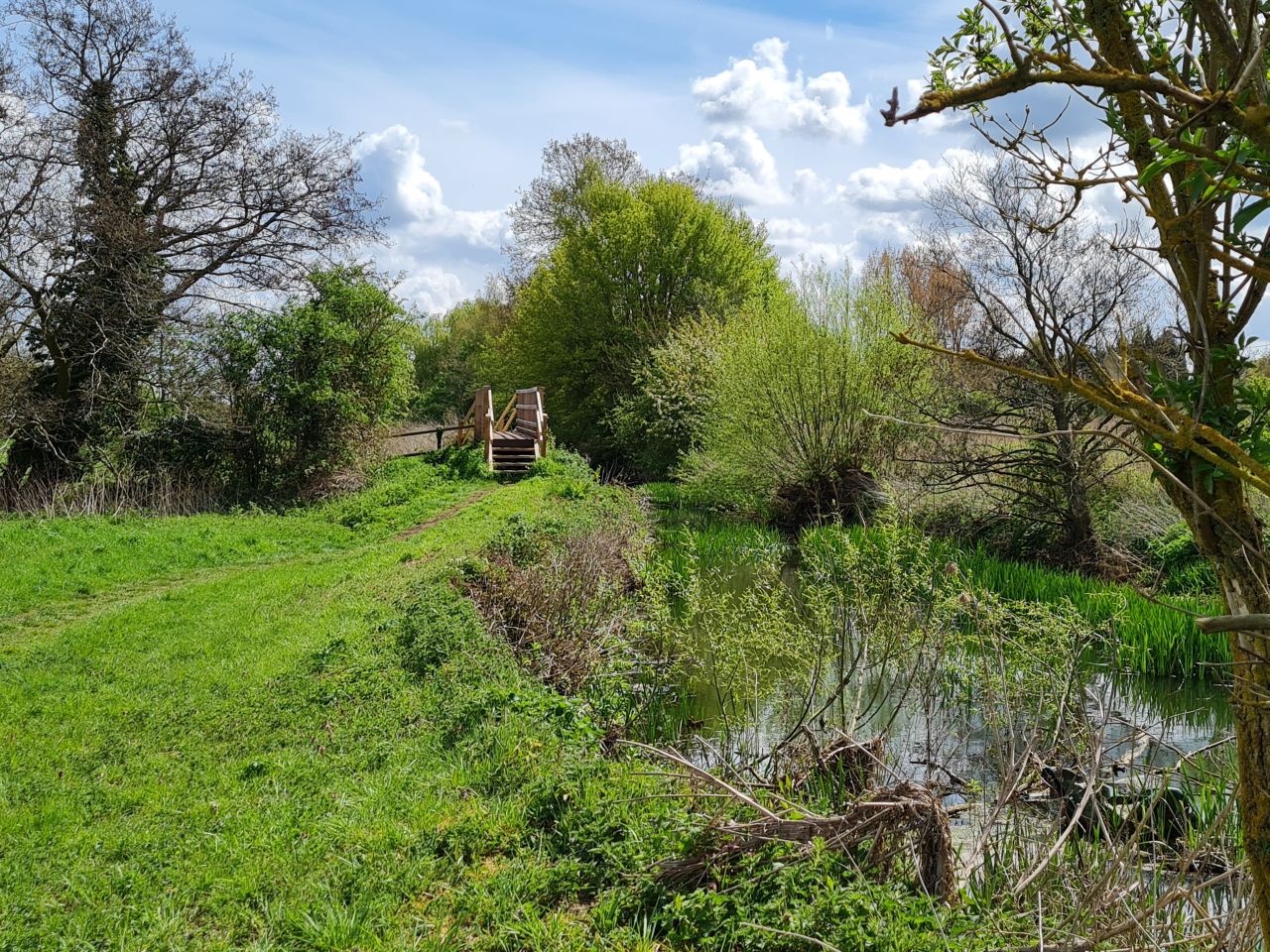 2025-04-22 14 Stowmarket.jpg