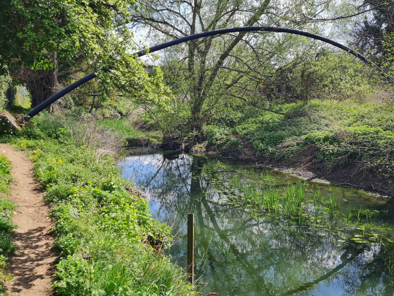 2025-04-22 27 Stowmarket.jpg