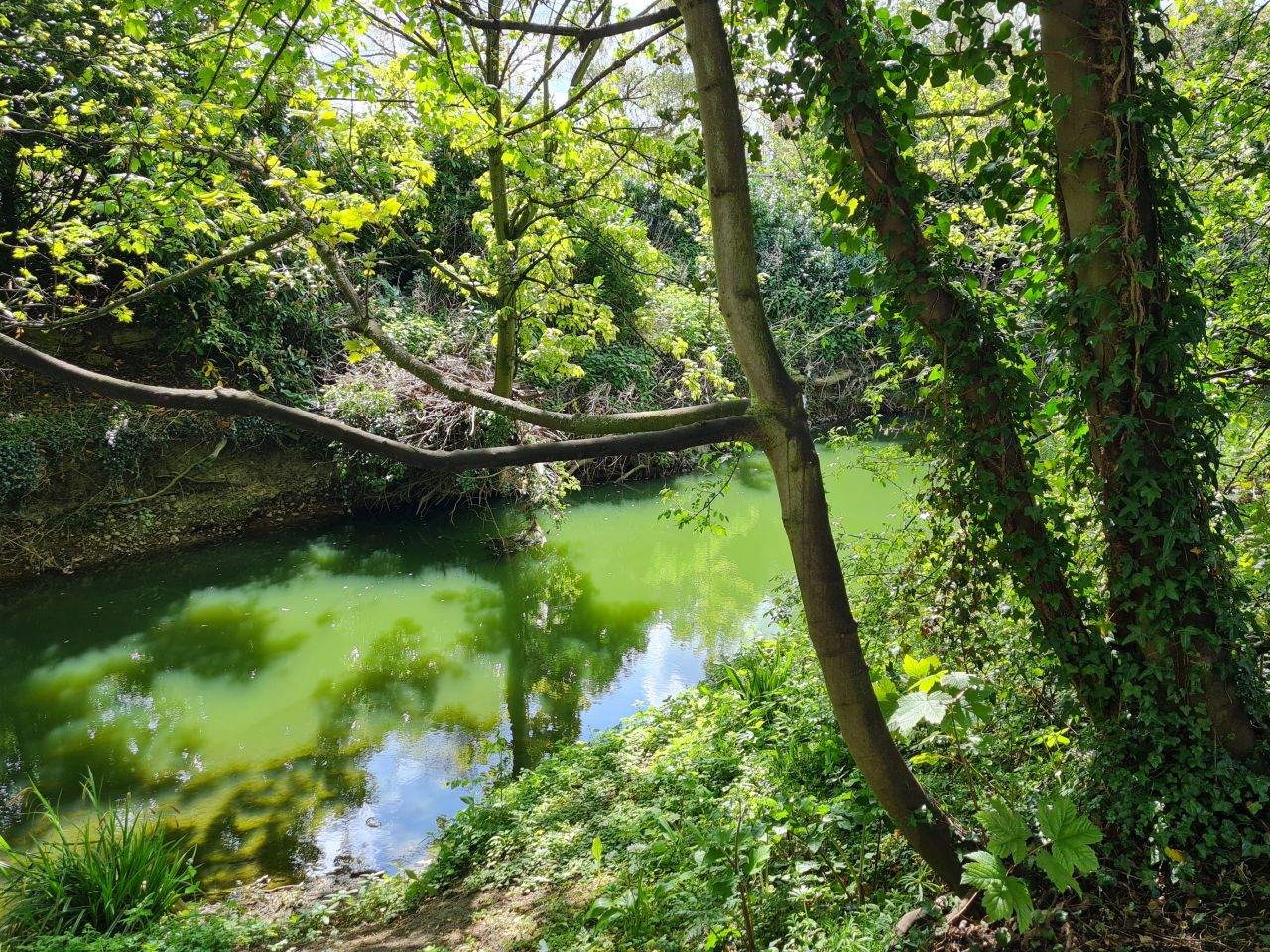 2025-04-22 28 Stowmarket.jpg