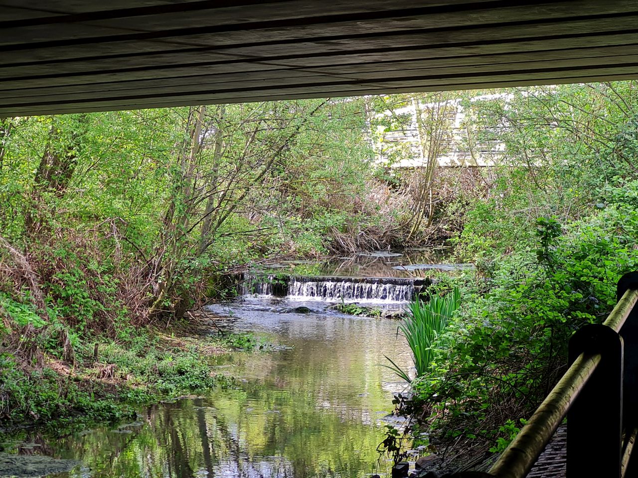 2025-04-22 34 Stowmarket.jpg