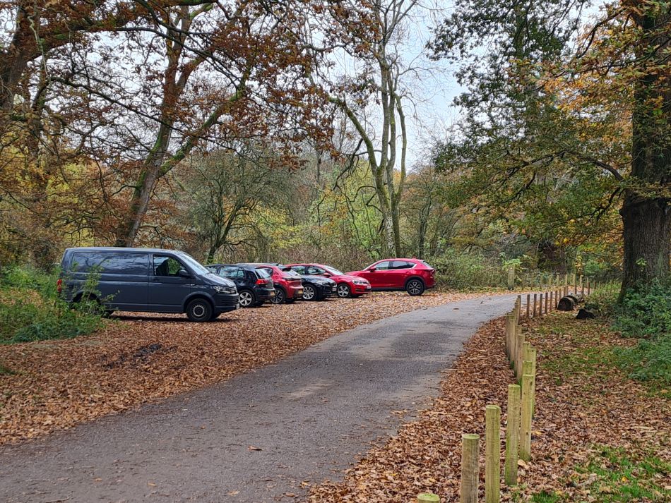 2021-11-19 15 Savernake Ancient Woodland.jpg