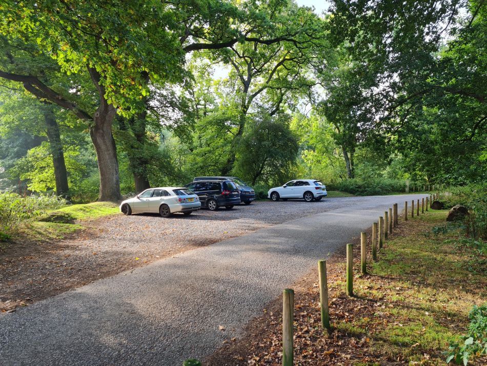 2022-09-23 01 Savernake Forest.jpg