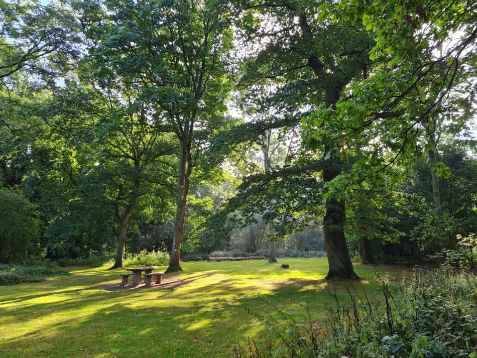 2022-09-23 02 Savernake Forest.jpg