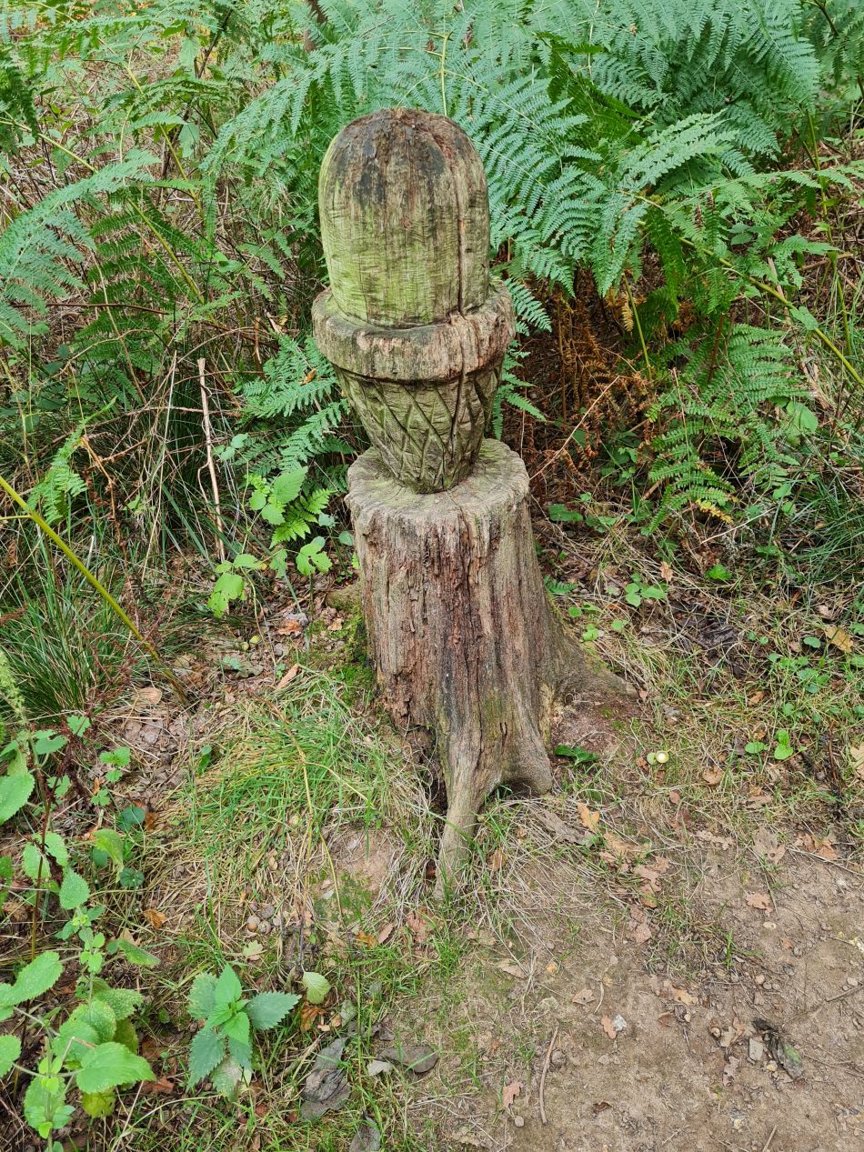 2022-09-23 60 Savernake Forest.jpg