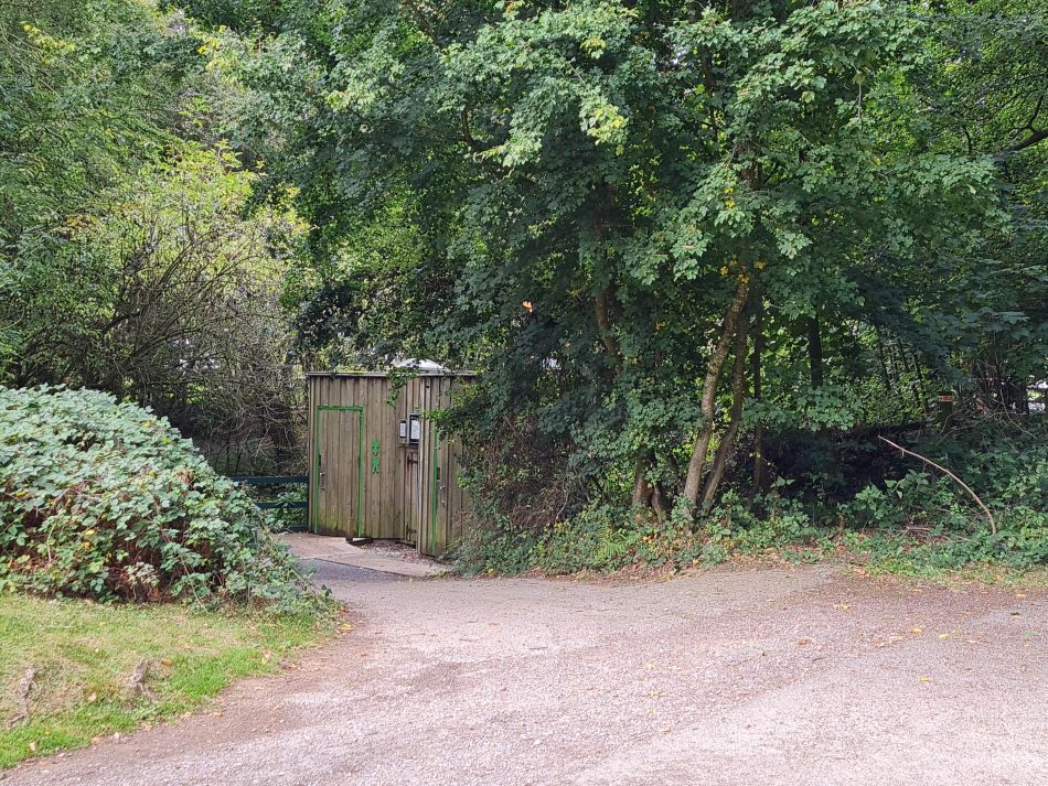 2022-09-23 63 Savernake Forest.jpg