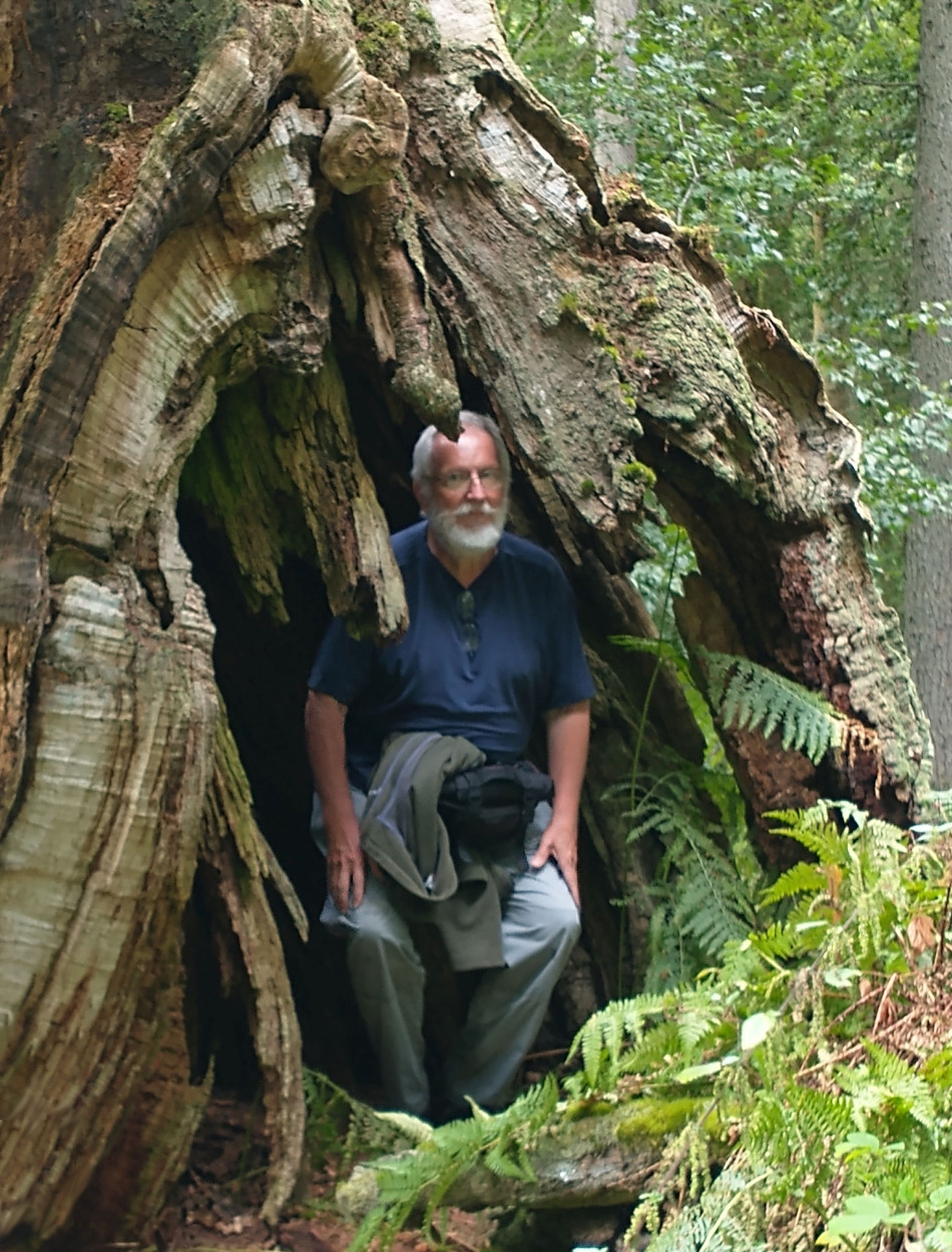 2022-09-23 64 Savernake Forest.jpg