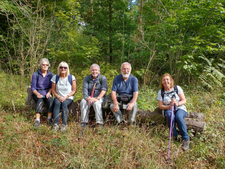 2022-09-23 65 Savernake Forest.jpg