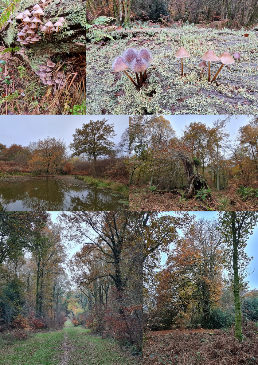 2022-09-23 98 Image.jpg