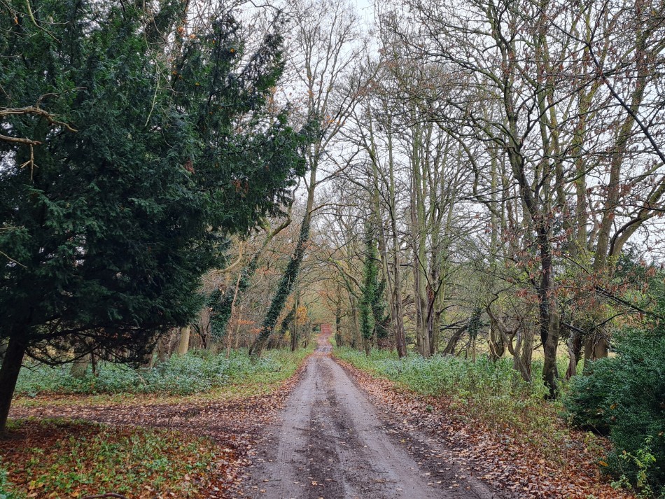 2021-12-18 17 Elveden.jpg