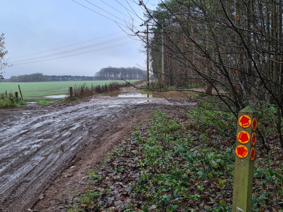 2021-12-18 18 Elveden.jpg