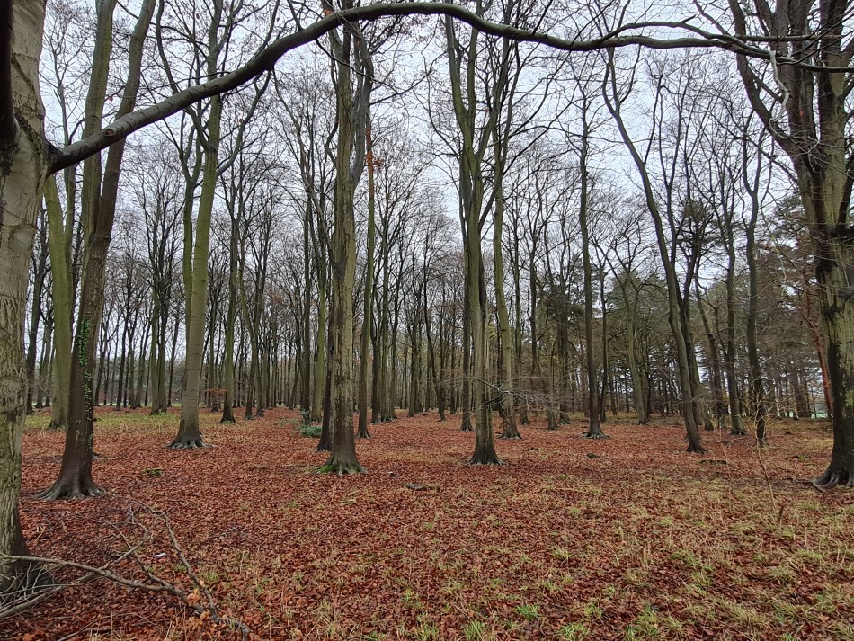 2021-12-18 22 Elveden.jpg