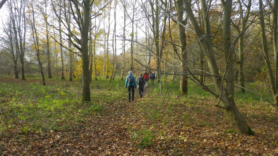 2018-11-25 04 Eye and Thorndon.jpg