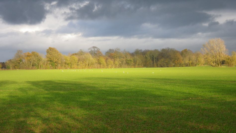 2018-11-25 09 Eye and Thorndon.jpg