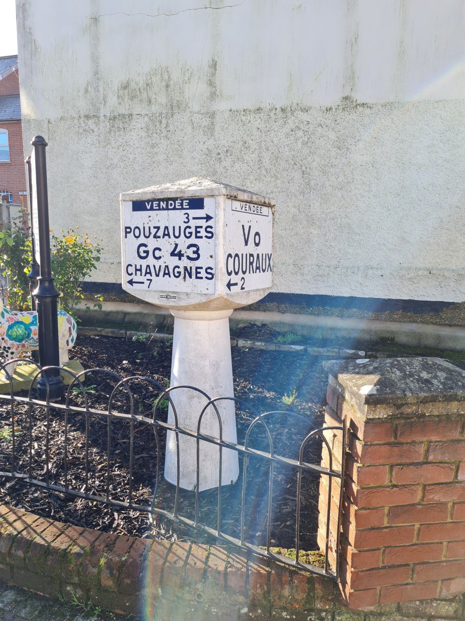 2023-10-22 05 Eye and Brome.jpg