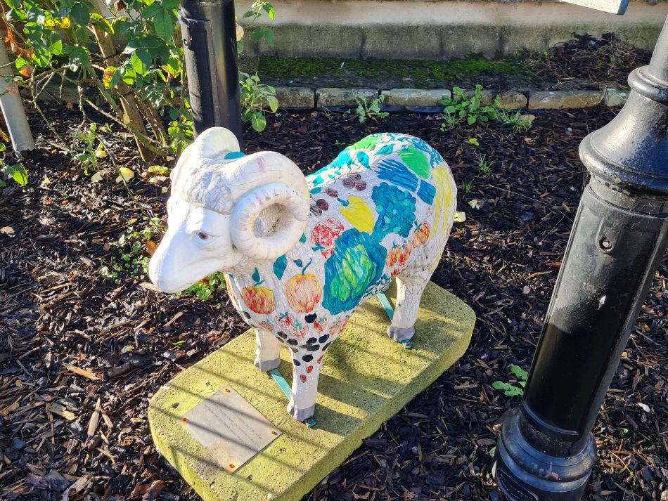 2023-10-22 06 Eye and Brome.jpg