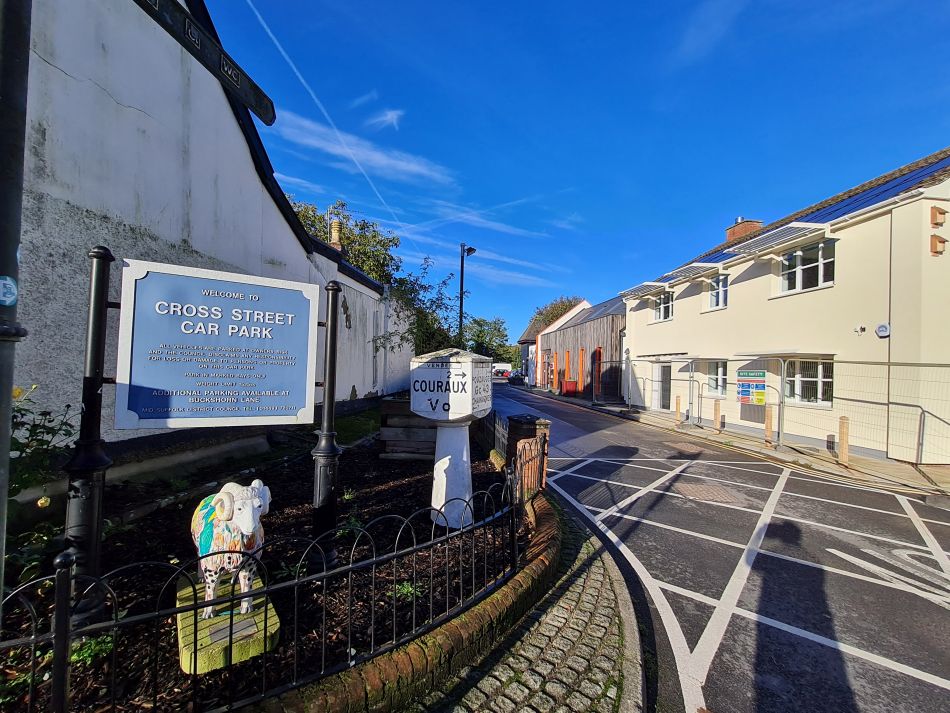 2023-10-22 07 Eye and Brome.jpg