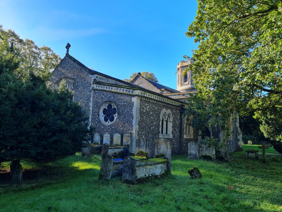 2023-10-22 09 Eye and Brome.jpg