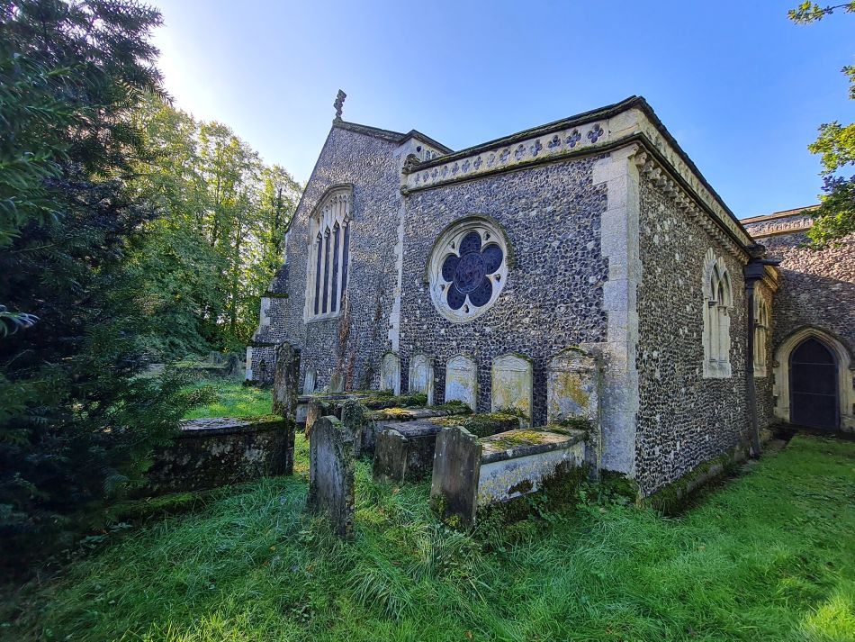 2023-10-22 11 Eye and Brome.jpg