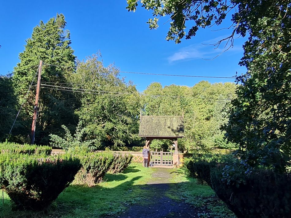 2023-10-22 12 Eye and Brome.jpg