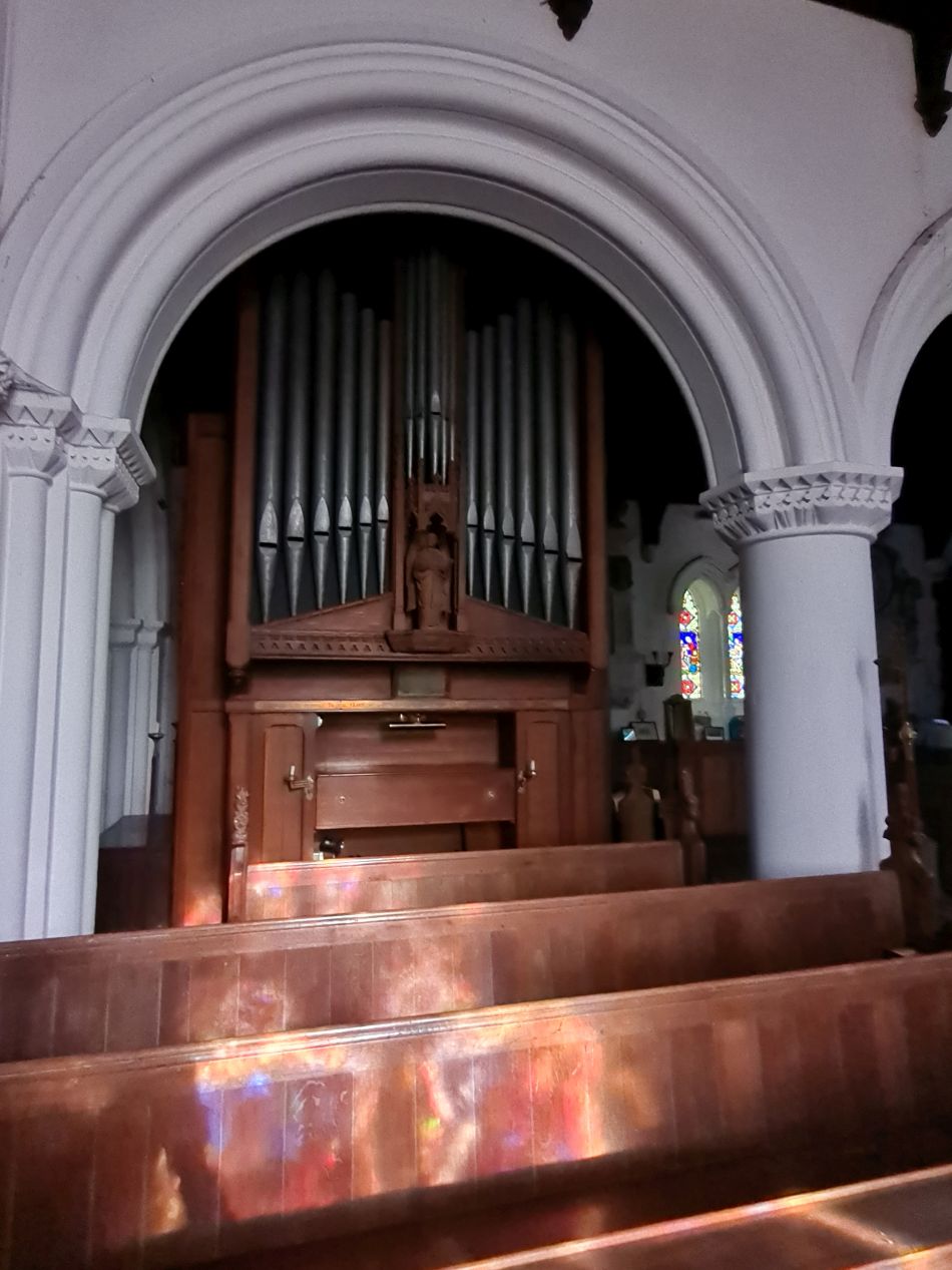 2023-10-22 16 Eye and Brome.jpg