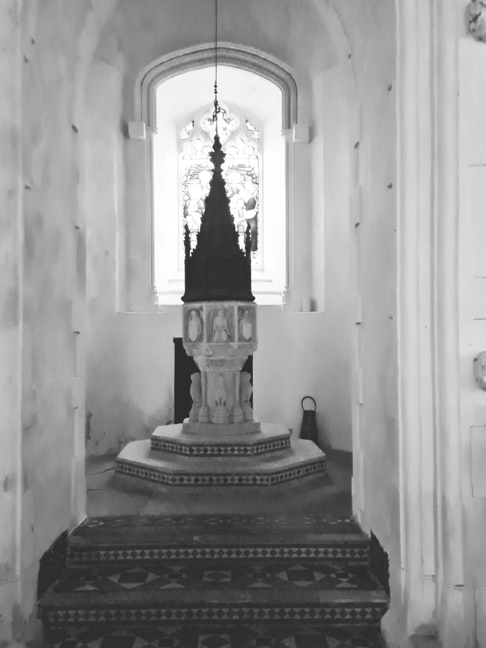 2023-10-22 19 Eye and Brome.jpg