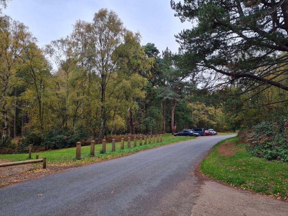 2022-11-10 15 Sandringham.jpg