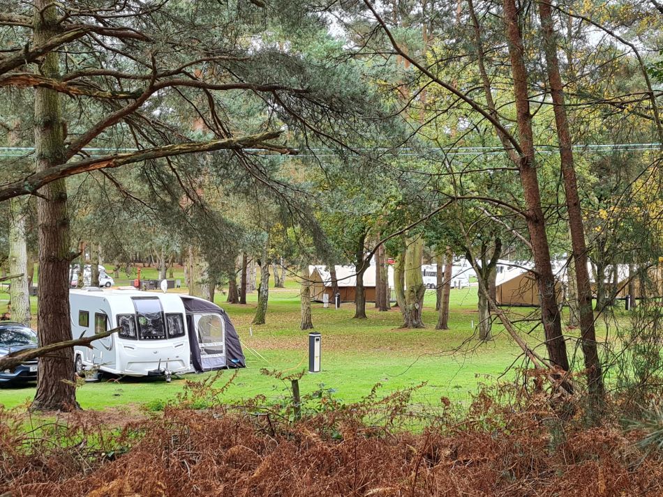 2022-11-10 17 Sandringham.jpg