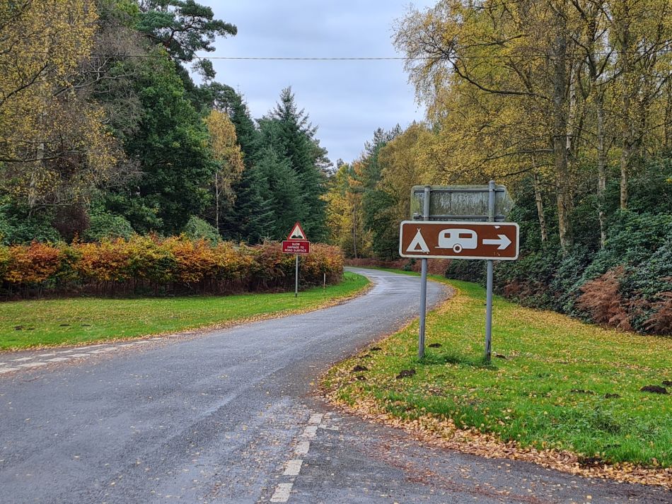 2022-11-10 19 Sandringham.jpg