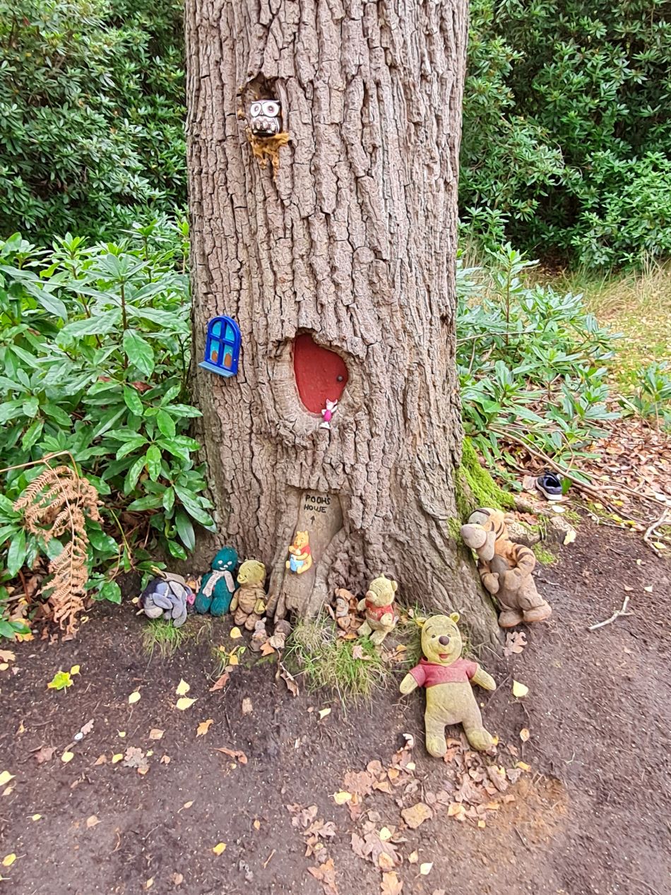 2022-11-10 21 Sandringham.jpg