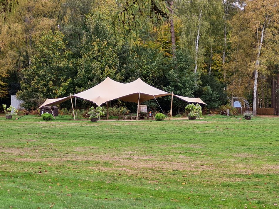 2022-11-10 22 Sandringham.jpg