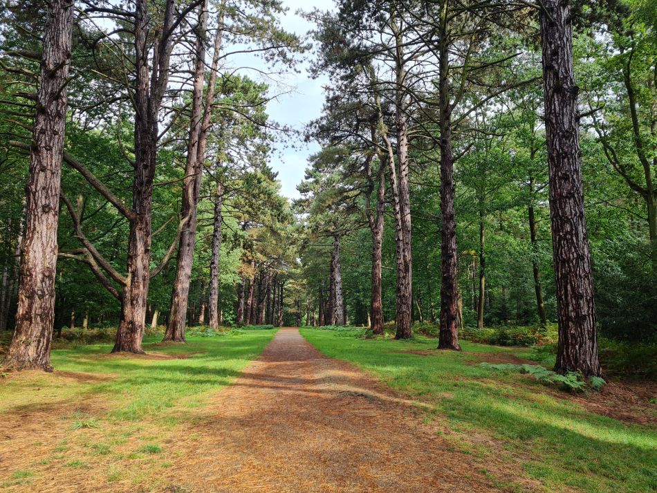 2023-09-18 03 Sandringham.jpg